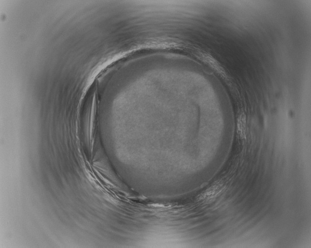 X0000057080724200509231623