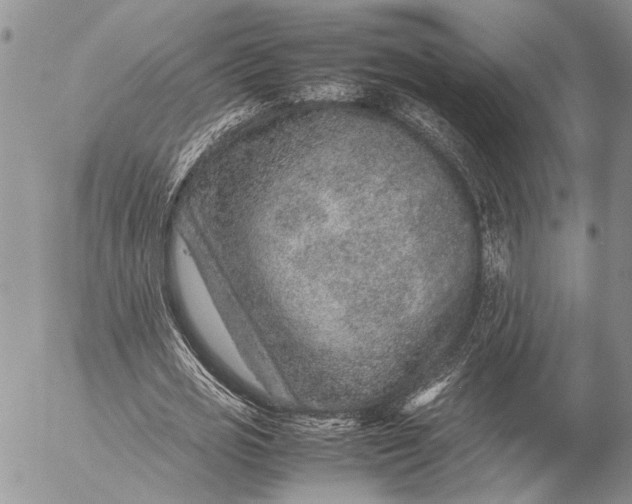 X0000057080725200509231623