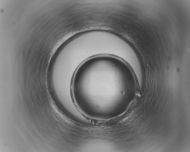 X0000057080726200509231623