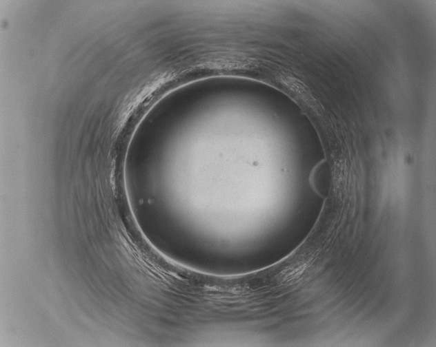 X0000057080727200509231623