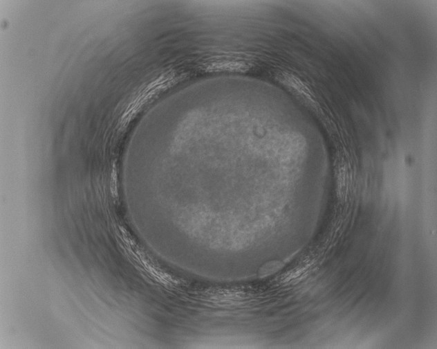 X0000057080729200509231623