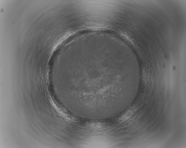 X0000057080730200509231623