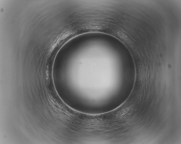 X0000057080731200509231623