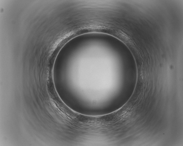 X0000057080732200509231623