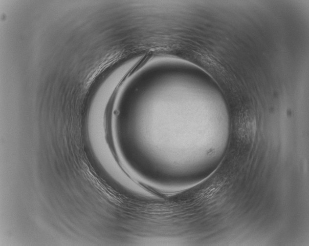 X0000057080735200509231623