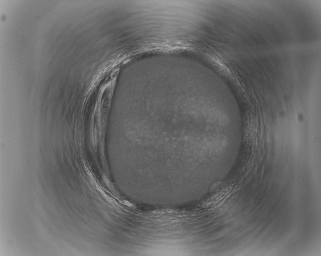 X0000057080736200509231623