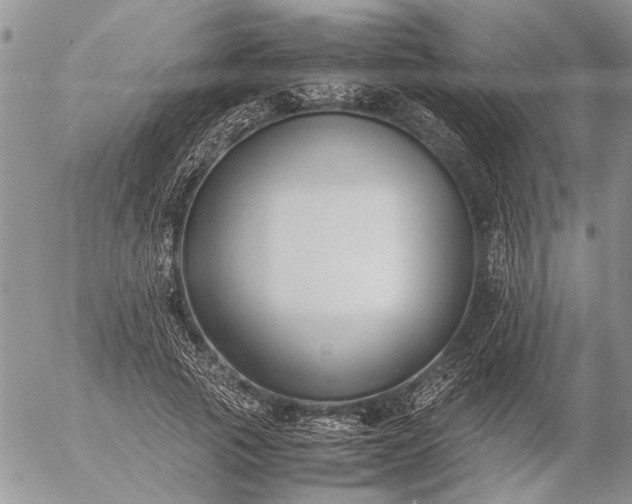 X0000057080737200509231623