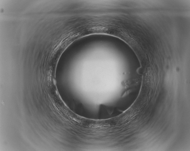 X0000057080739200509231623