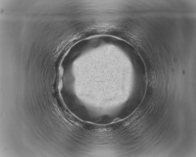 X0000057080740200509231623