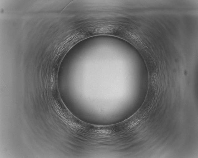 X0000057080741200509231623