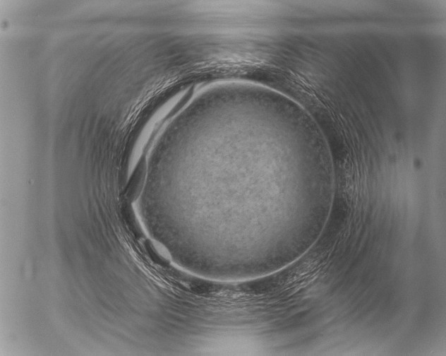 X0000057080742200509231623