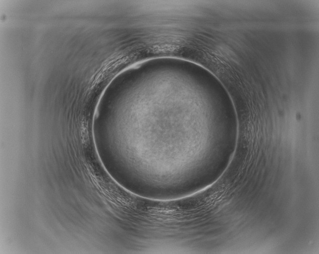 X0000057080743200509231623