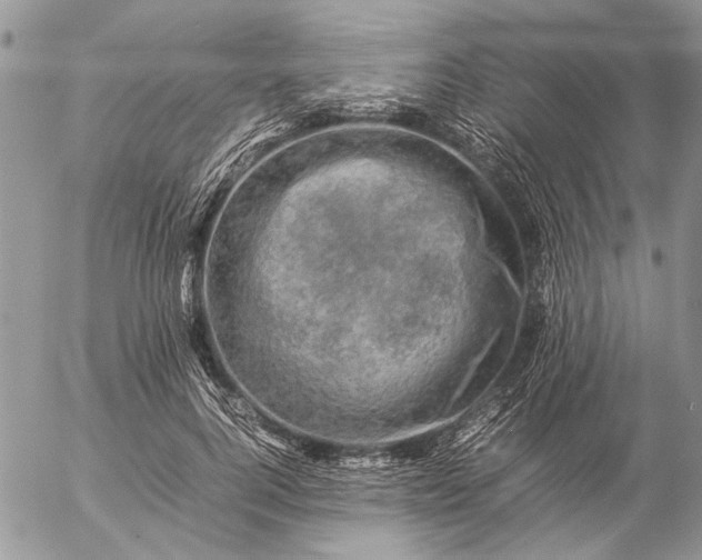 X0000057080744200509231623