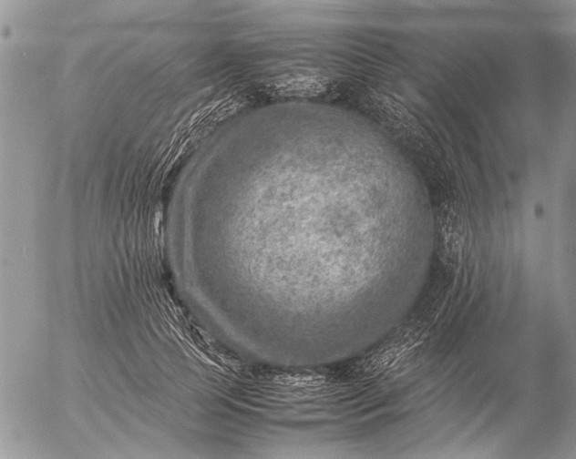 X0000057080745200509231623