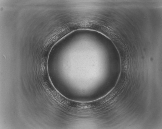 X0000057080746200509231623