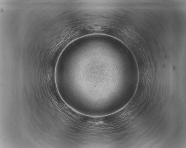 X0000057080747200509231623