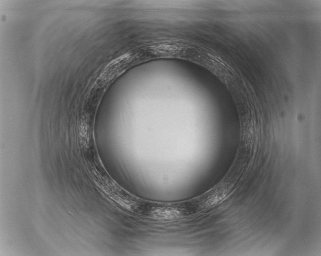 X0000057080749200509231623