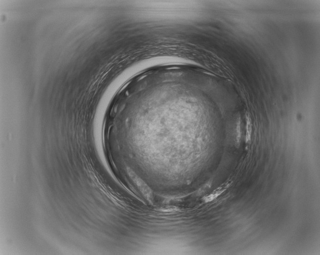 X0000057080750200509231623