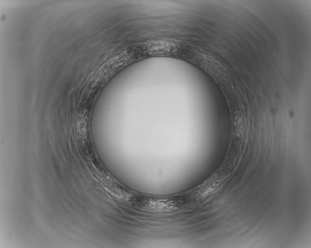 X0000057080753200509231623