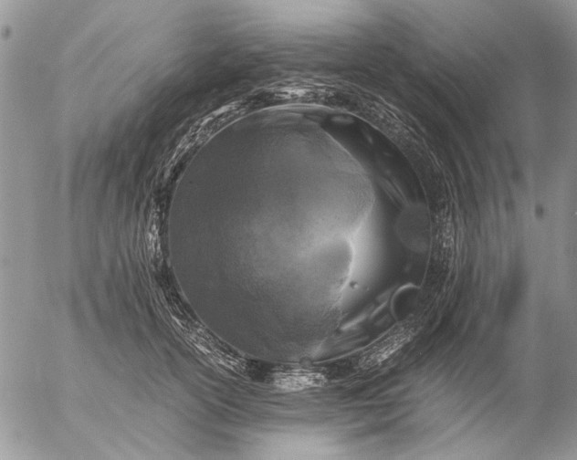 X0000057080754200509231623