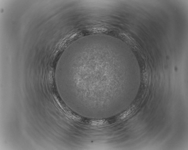 X0000057080757200509231624