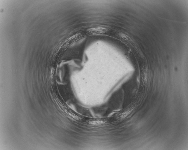 X0000057080759200509231624