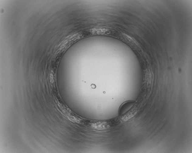 X0000057080761200509231624