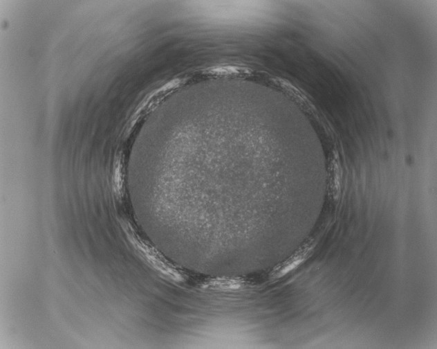 X0000057080762200509231624