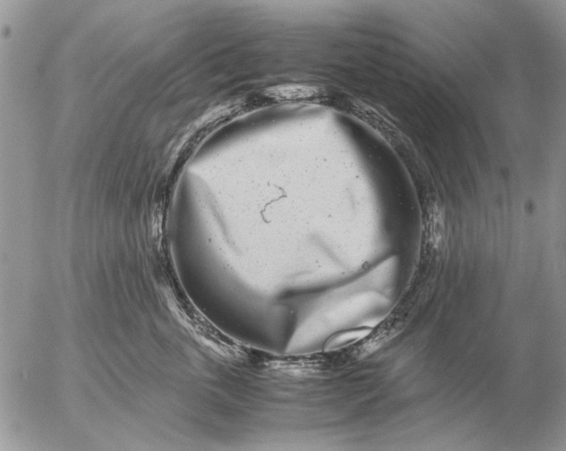 X0000057080763200509231624