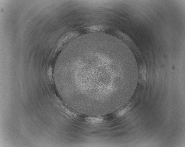 X0000057080765200509231624