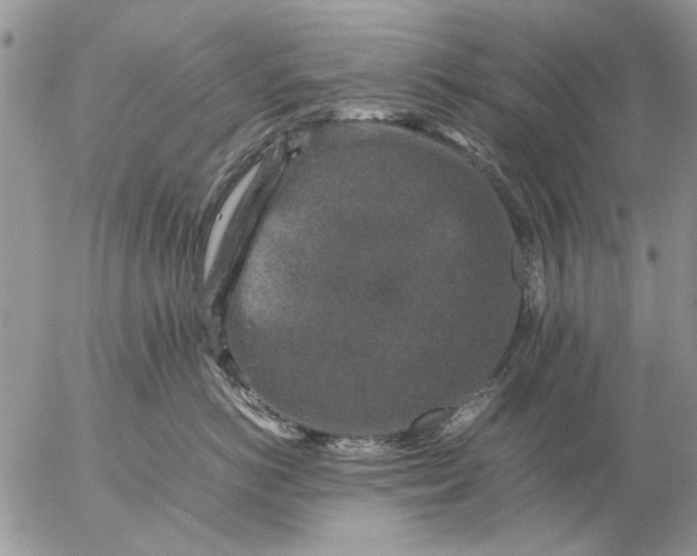 X0000057080766200509231624