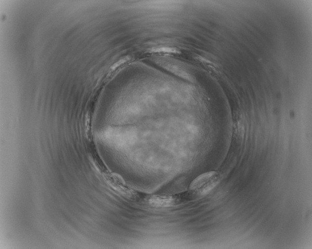 X0000057080767200509231624