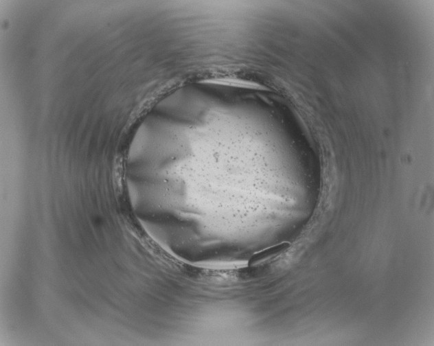 X0000057080768200509231624