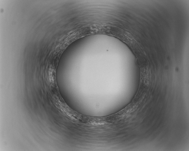 X0000057080770200509231623