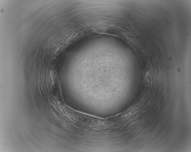 X0000057080772200509231623