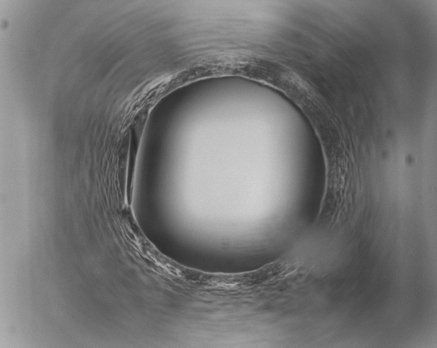 X0000057080773200509231623