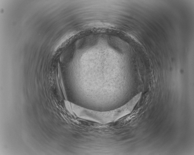 X0000057080775200509231623