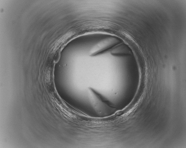 X0000057080777200509231623