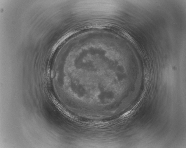 X0000057080779200509231623