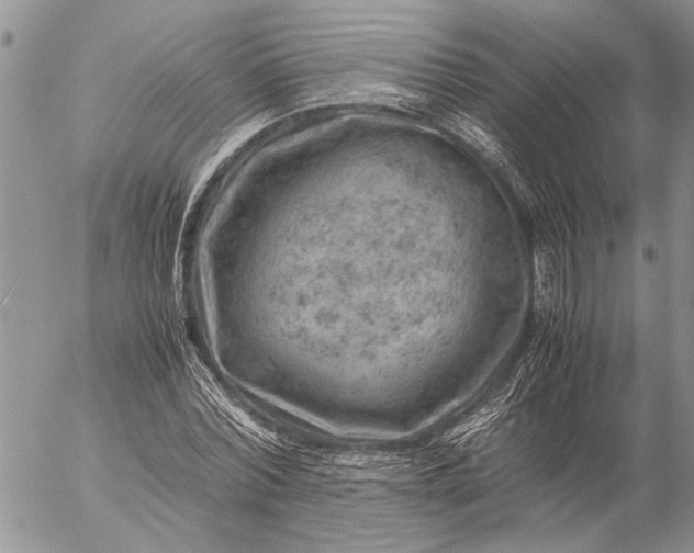 X0000057080780200509231623