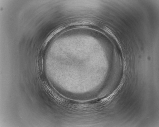 X0000057080781200509231623