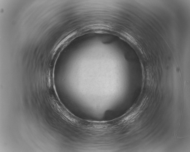 X0000057080782200509231623