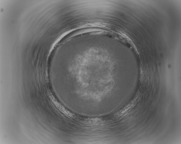 X0000057080784200509231623