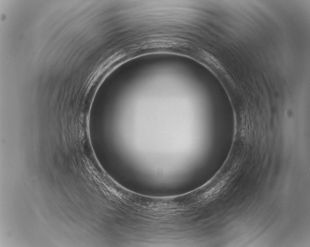 X0000057080786200509231623