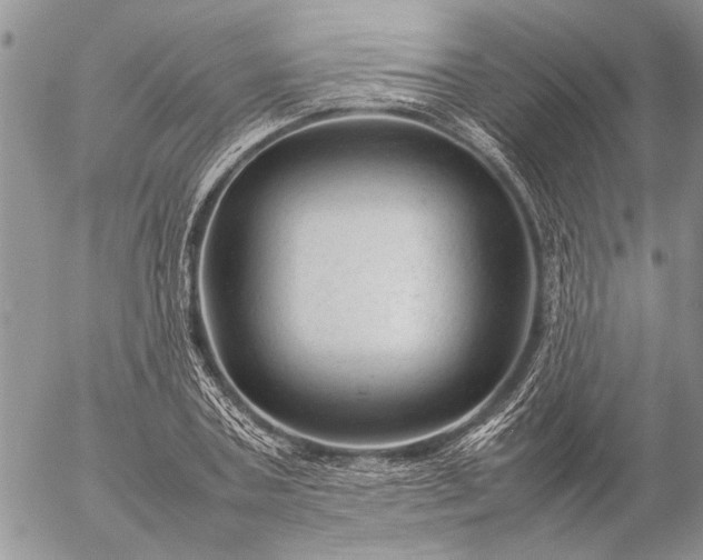 X0000057080787200509231623