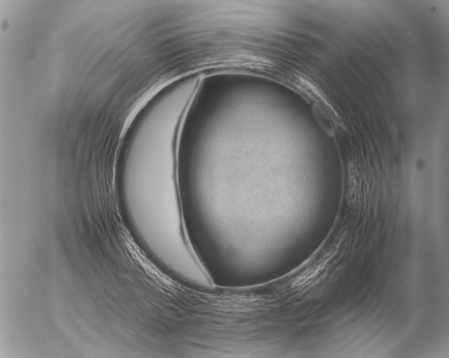 X0000057080788200509231623