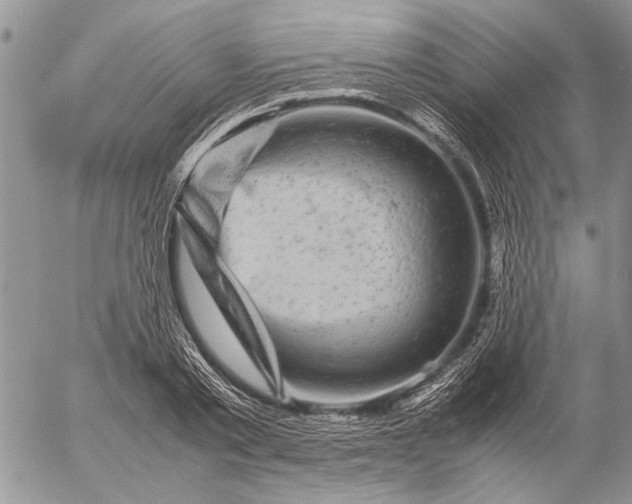 X0000057080789200509231623