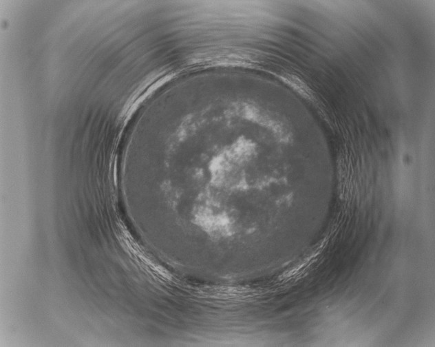 X0000057080790200509231623