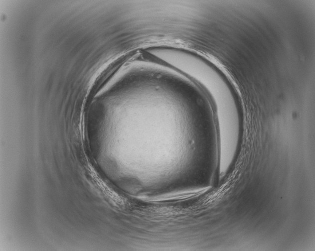 X0000057080791200509231622