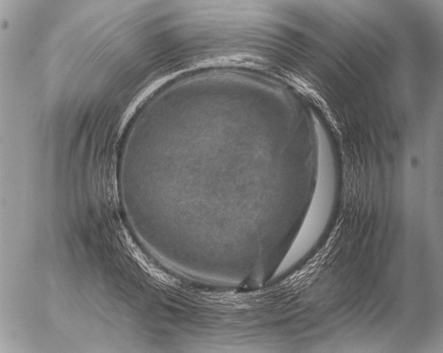 X0000057080792200509231622